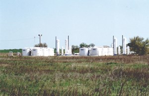 prospect-strategies-flaunt-variety-fig01