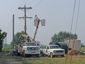 prospect-strategies-flaunt-variety-fig05