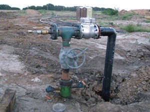 prospect-strategies-flaunt-variety-fig09