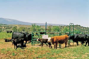 rockies-living-up-to-promise-may07-fig2