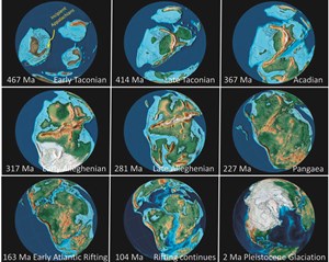 roots-rocks-and-rattlesnakes-fig1