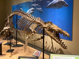 sea-monsters-desert-fig1