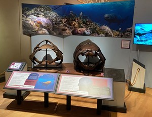 sea-monsters-desert-fig2