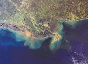 space-photo-album-growing-fig3