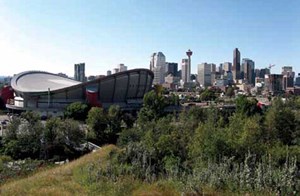 spotlight-shines-on-ice-fig1