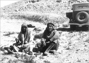 steineke-of-arabia-fig5