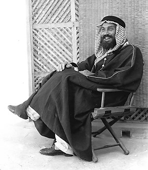 steineke-of-arabia-fig8