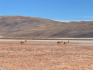 sustainable-development-energy-fig7