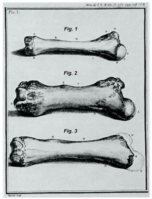 the-birth-of-north-fig3