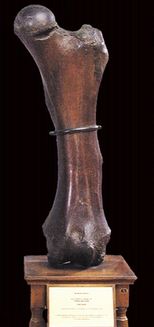 the-birth-of-north-fig6