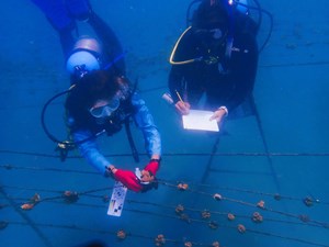 the-brightest-star-fig1