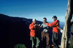 the-ingredients-fig2