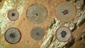 the-keys-to-life-fig3