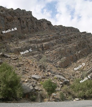 the-strange-case-of-wadi-fig4