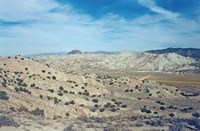 utah-play-makes-lots-of-headlines-fig4