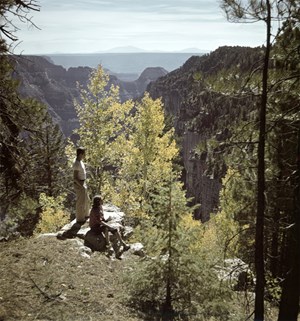 wallace-stegner-fig1