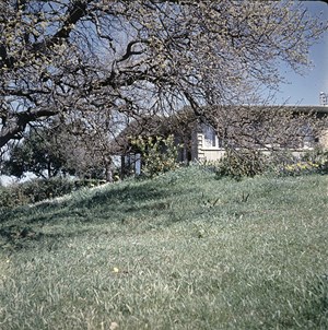 wallace-stegner-fig6