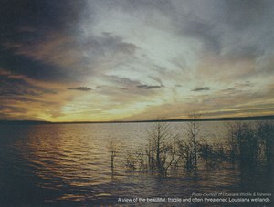 wetlands-loss-issues-to-be-aired-fig1