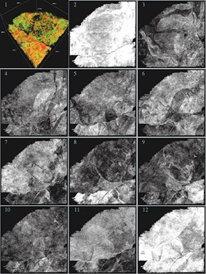why-do-we-need-to-have-visualization-fig1