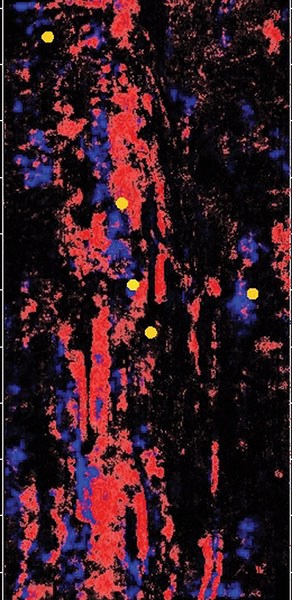 why-do-we-need-to-have-visualization-fig3