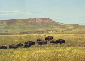 wyoming-enjoys-coal-gas-play-fig1