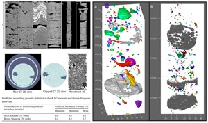 yps-see-bright-future-fig2