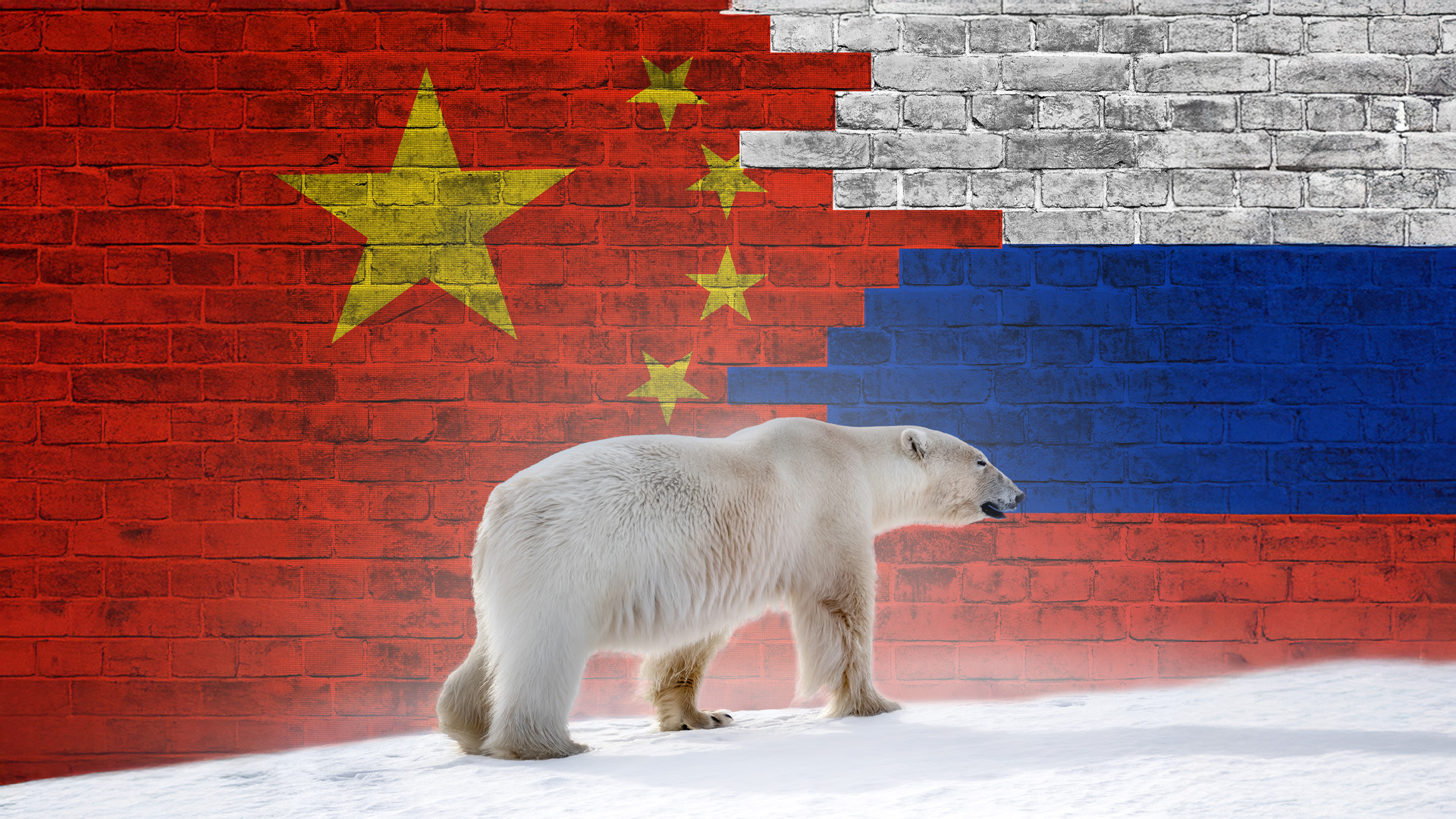 Dancing with the Bear