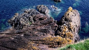 three centuries fig2