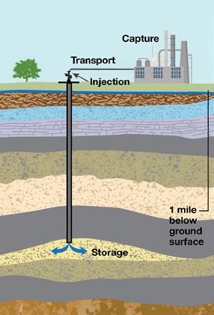 Finding the Fun Landing Page